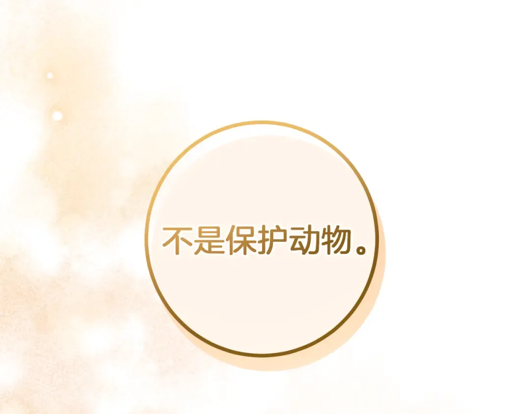 第26话 养宠物 第86页