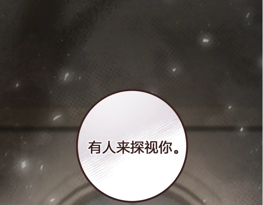 第28话 为什么要杀死自己的宠物 第311页