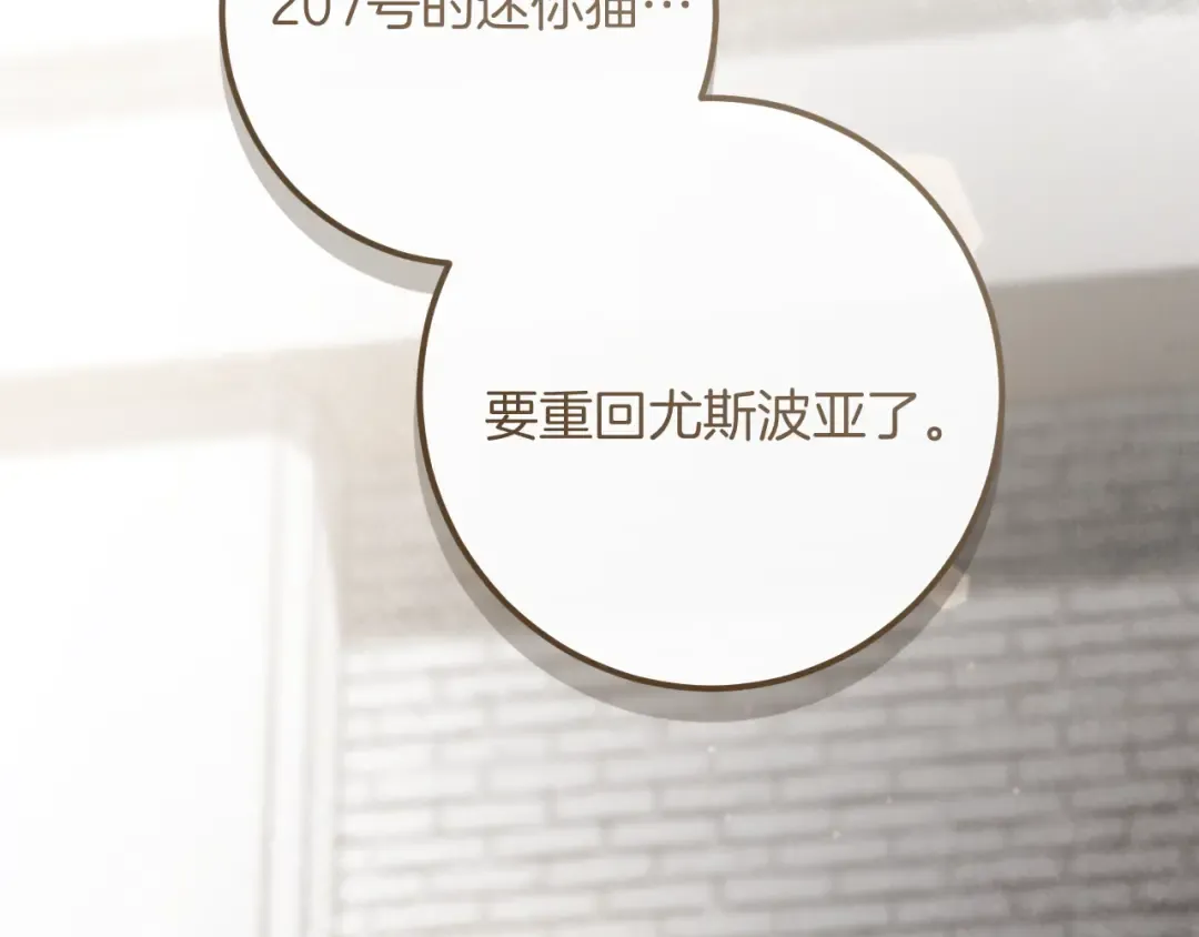 第37话 重见天日 第161页