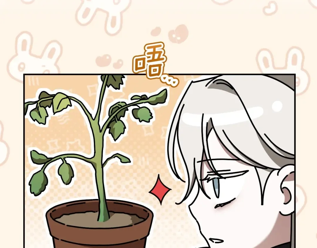 第37话 重见天日 第254页