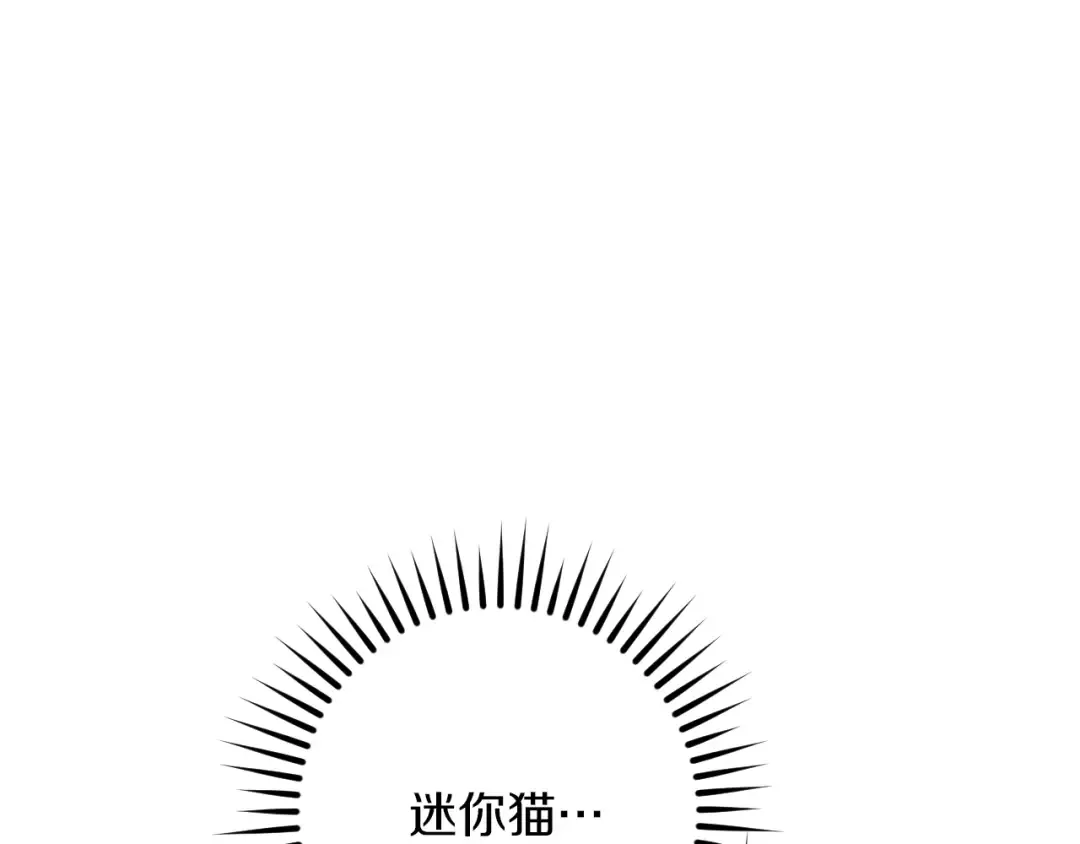 第52话 我很喜欢 第151页