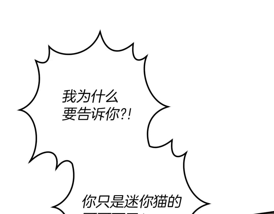 第70话 我就是迷你猫 第170页