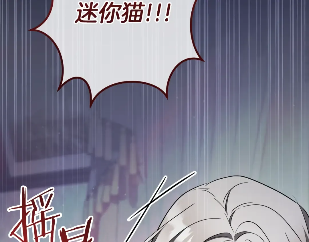 第74话 乖乖等我 第17页