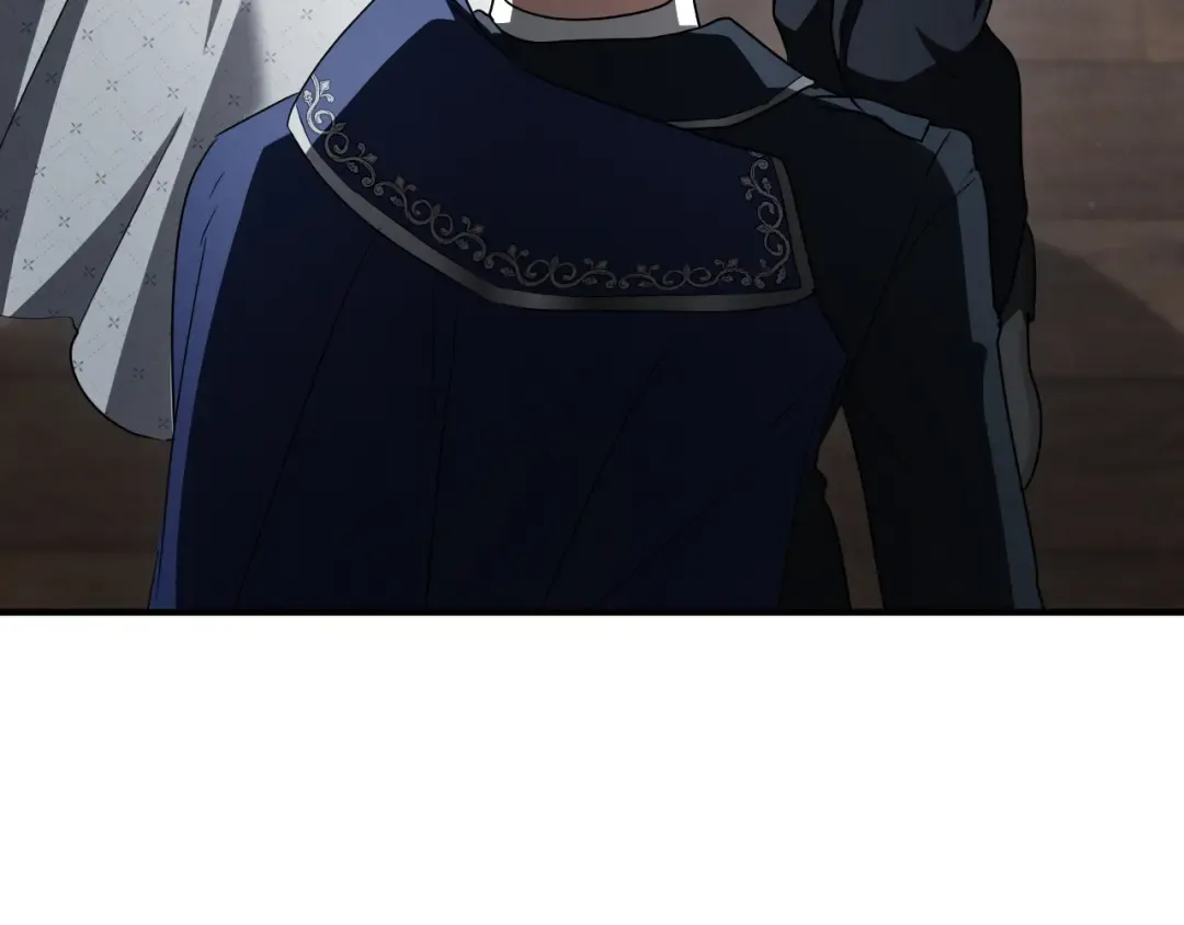 第85话 说服总理 第198页