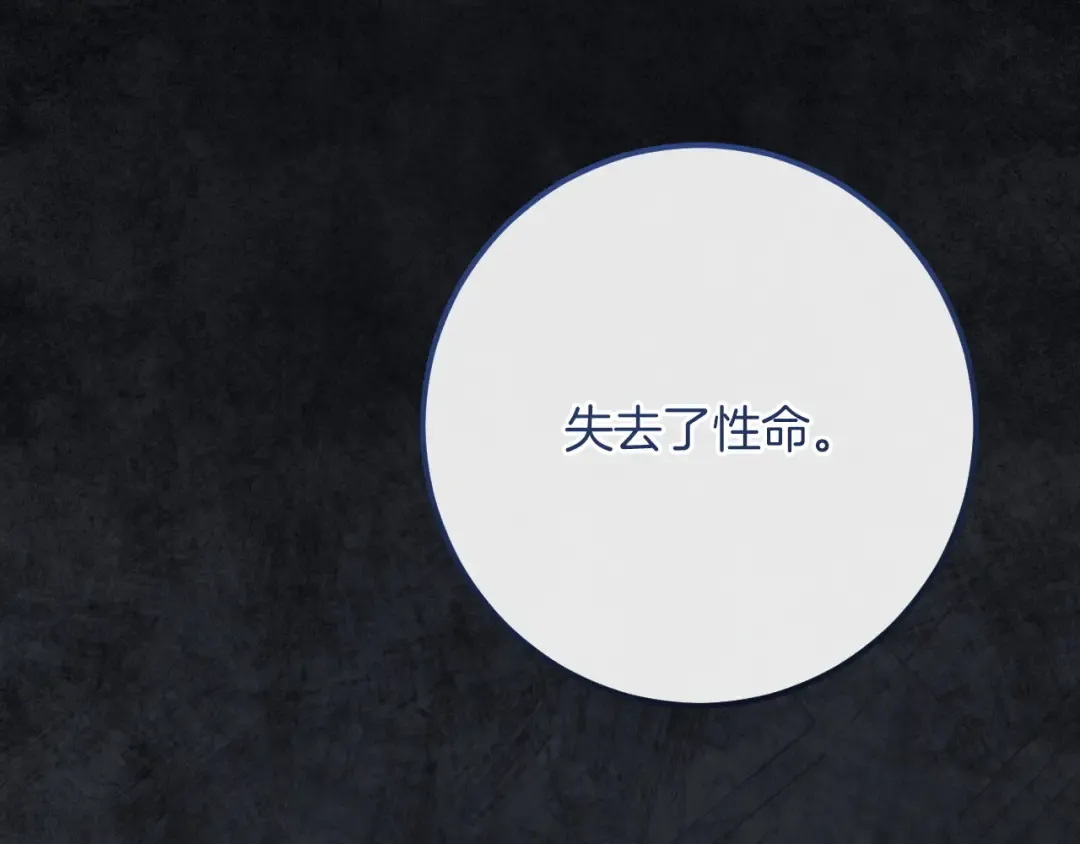 第85话 说服总理 第211页
