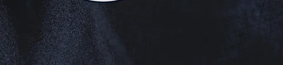 完结话 两个人的家 第154页