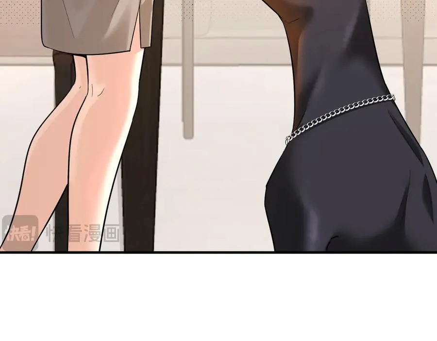 第11话 晏狗是家政小能手 第11页