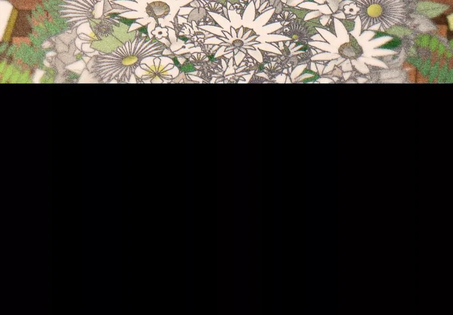 第31话 是石头啊！ 第183页