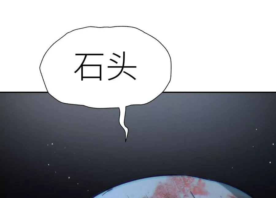 第31话 是石头啊！ 第256页