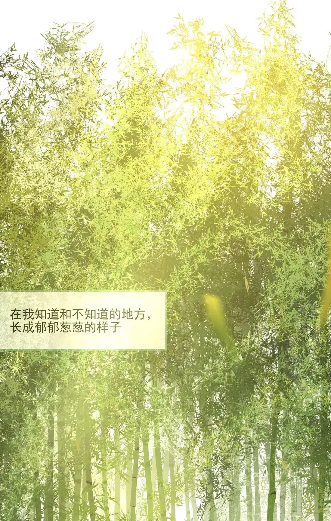 032 以被追求者看追求者的视角 第30页