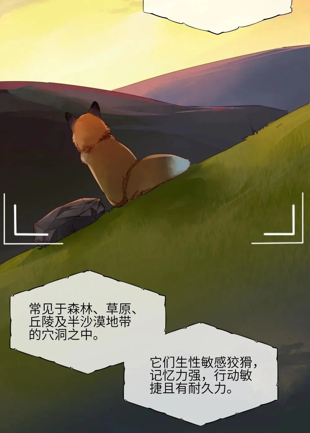 001 狐狸 第3页