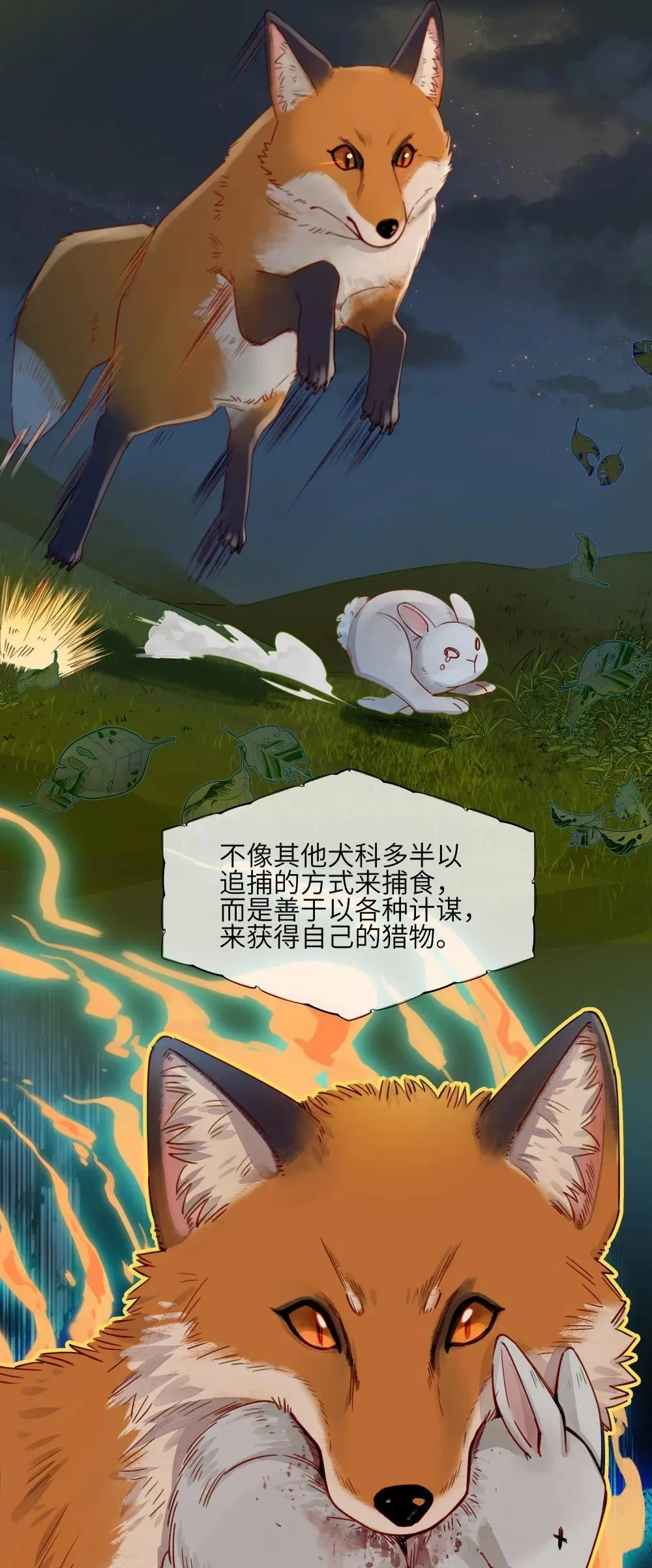 001 狐狸 第4页