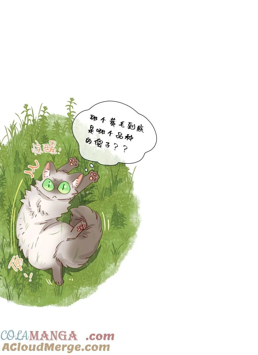 012 和我接吻就这么有意思？ 第31页