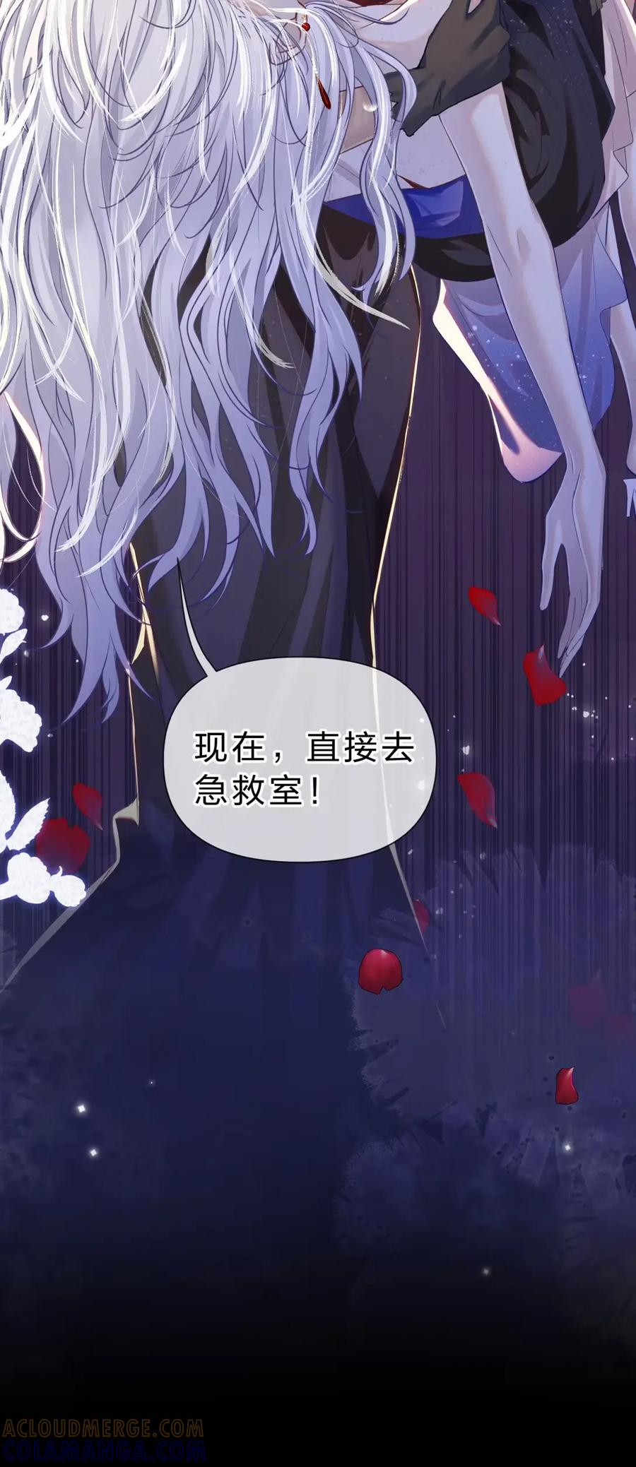 14 家主，生日快乐 第46页