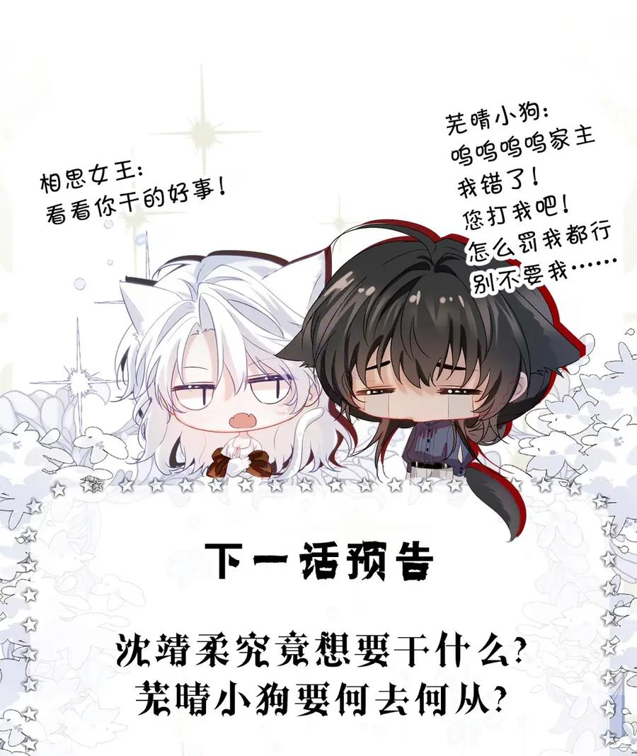 14 家主，生日快乐 第47页