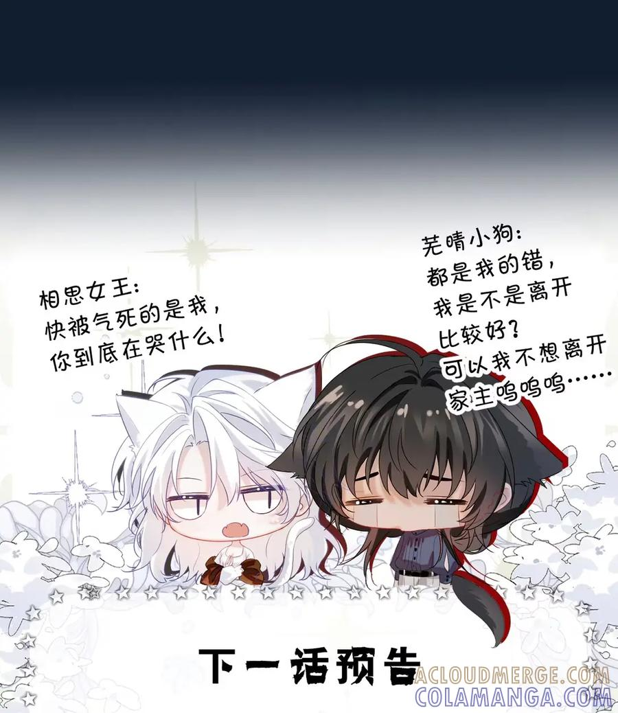 15 只有小晴，是没有私心对家主好的人 第46页