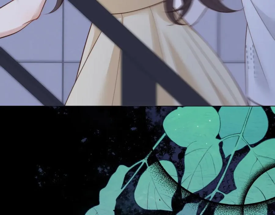 第41话 从今天开始你可以追我 第15页