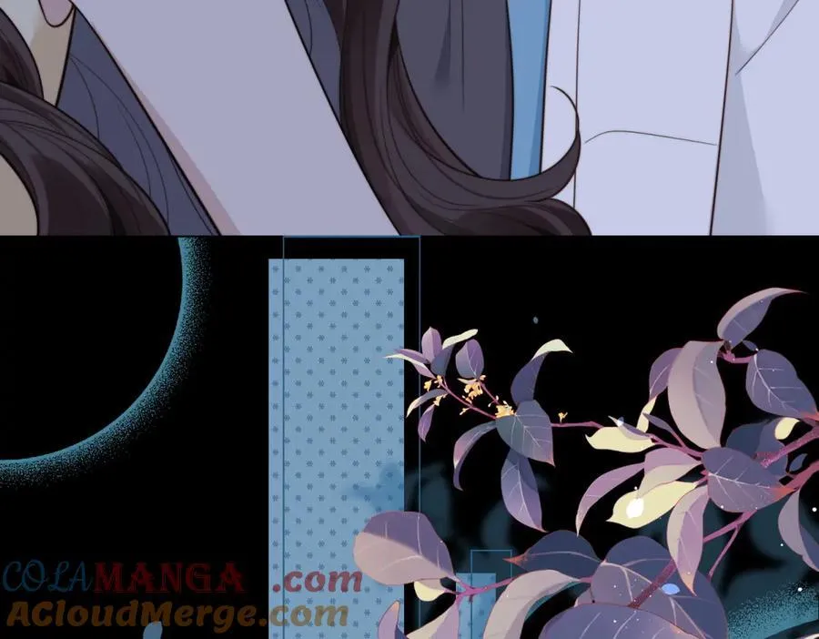 第41话 从今天开始你可以追我 第41页