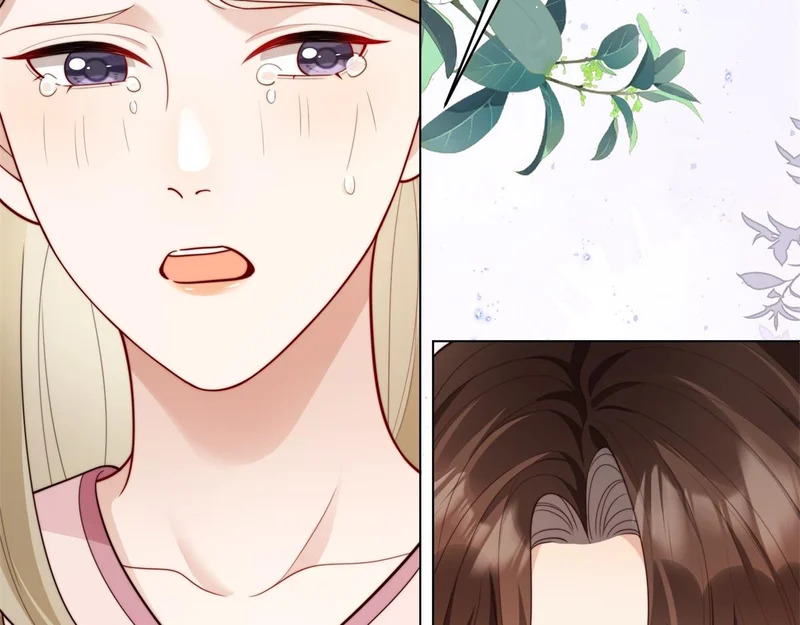 第66话 苏晓梦被害流产？ 第117页