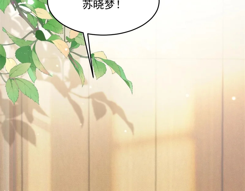 第83话 苏晓梦和陆云深大婚 第154页