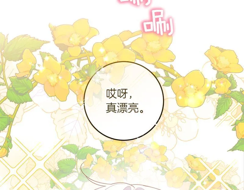 第2话 路人甲的生活 第35页
