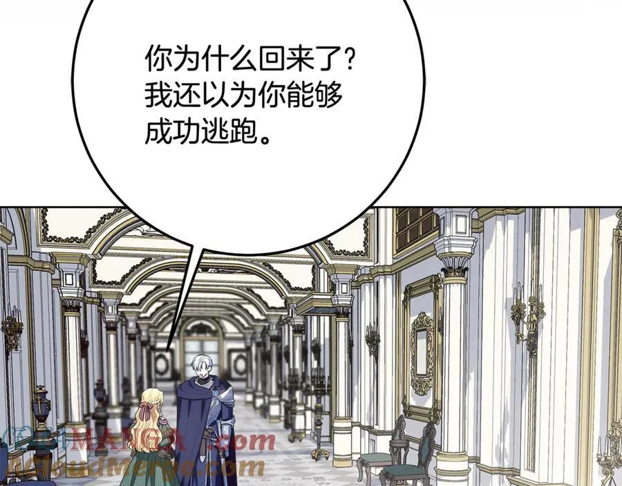第36话 准备冬天进攻 第229页