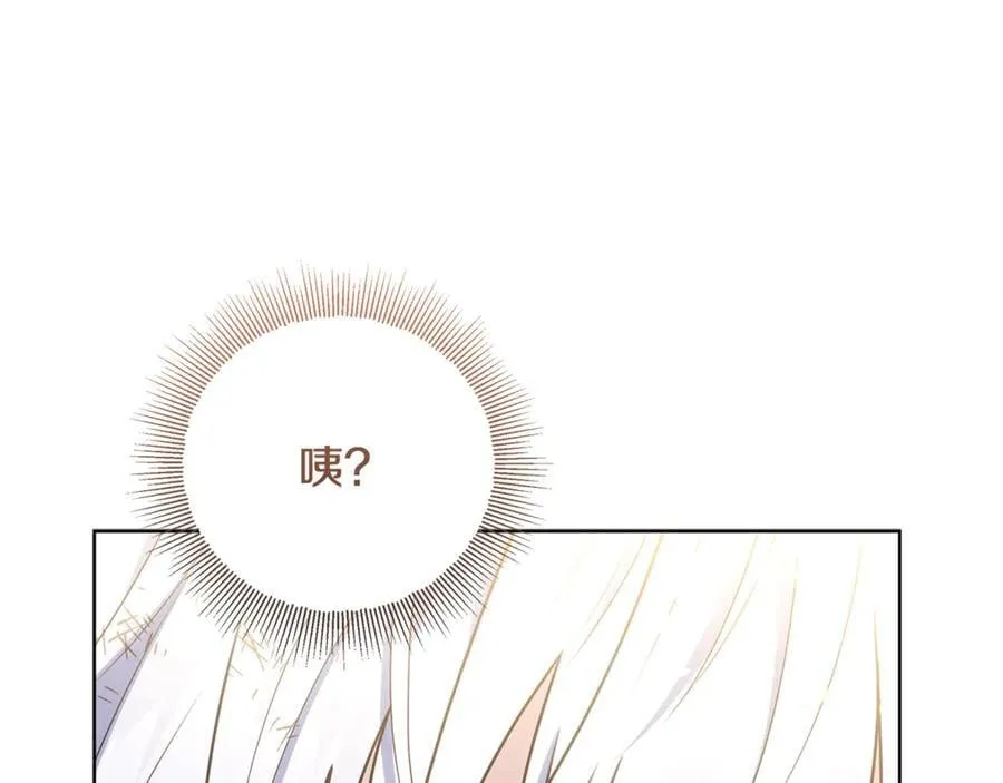 第41话 这就是终点？ 第163页
