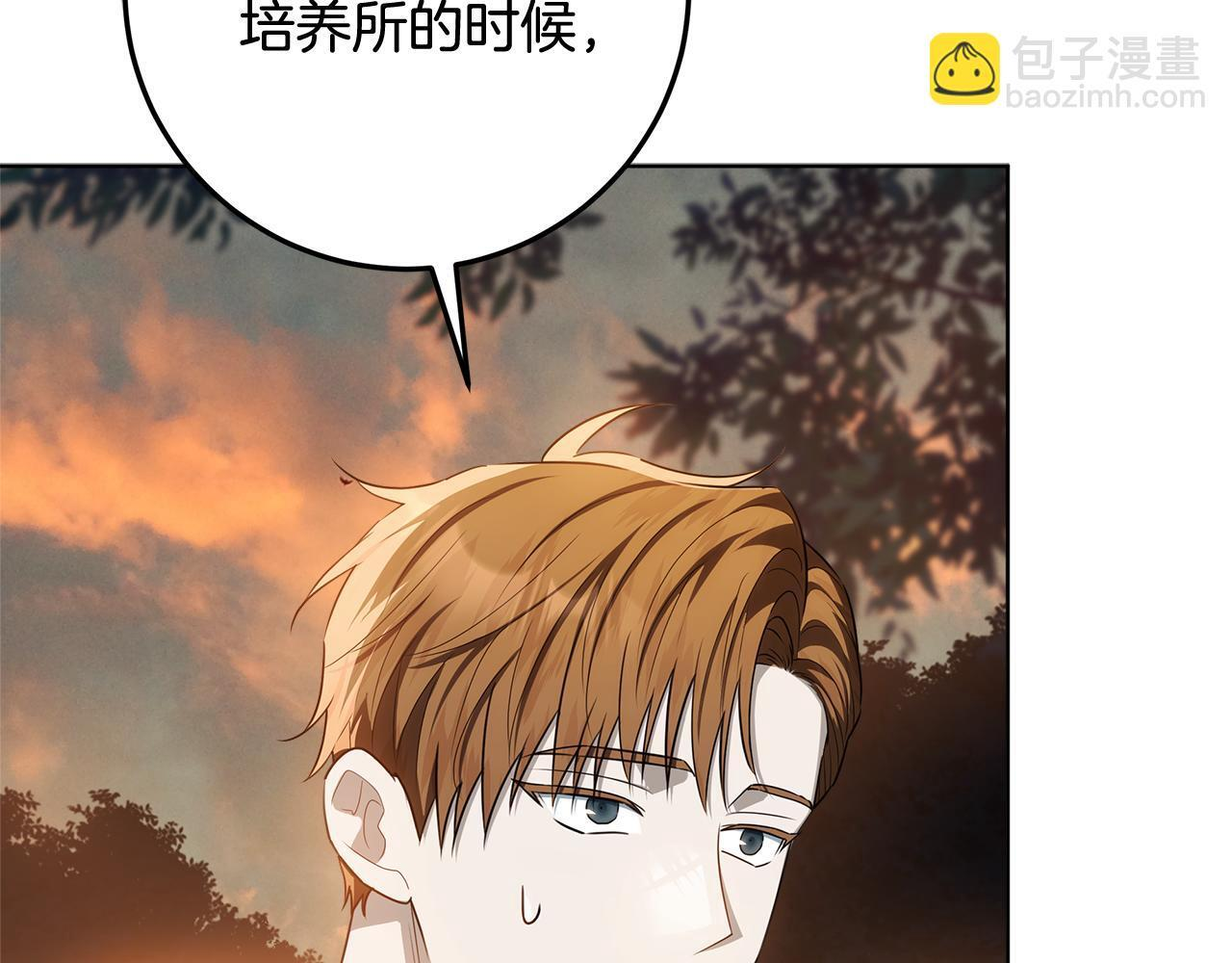 第55话 婚姻许可书 第15页