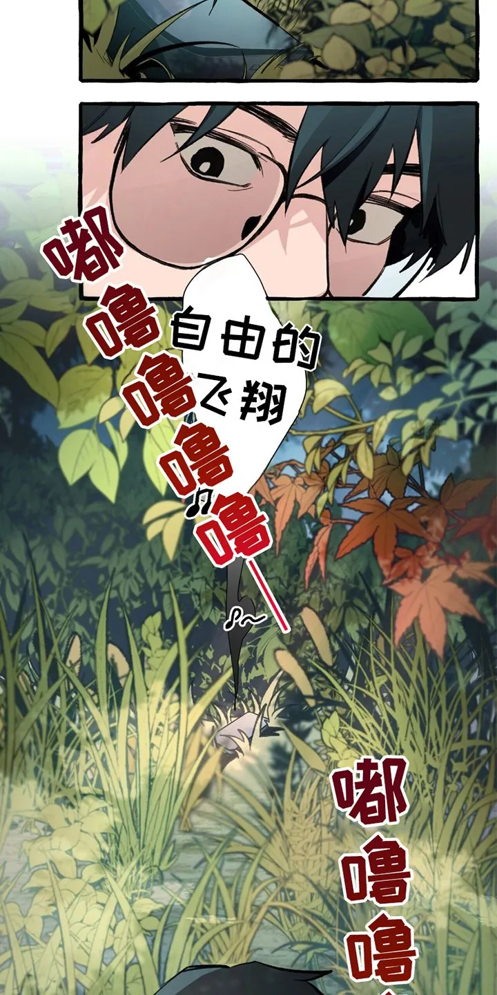 第3章：发现手机 第15页