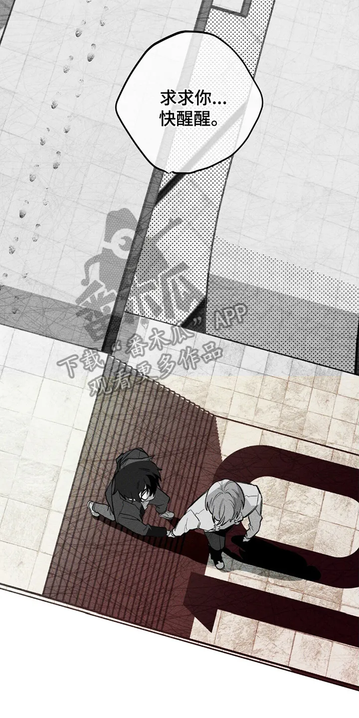 第20章：绝望 第6页