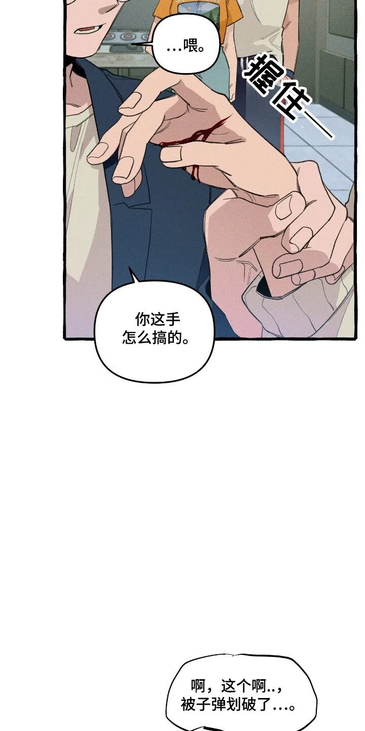 第32章：卡片 第3页