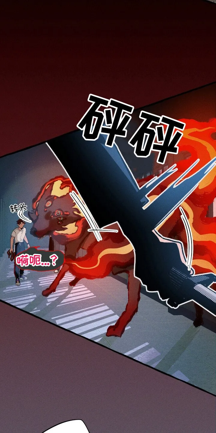 第45章：再次出击 第11页