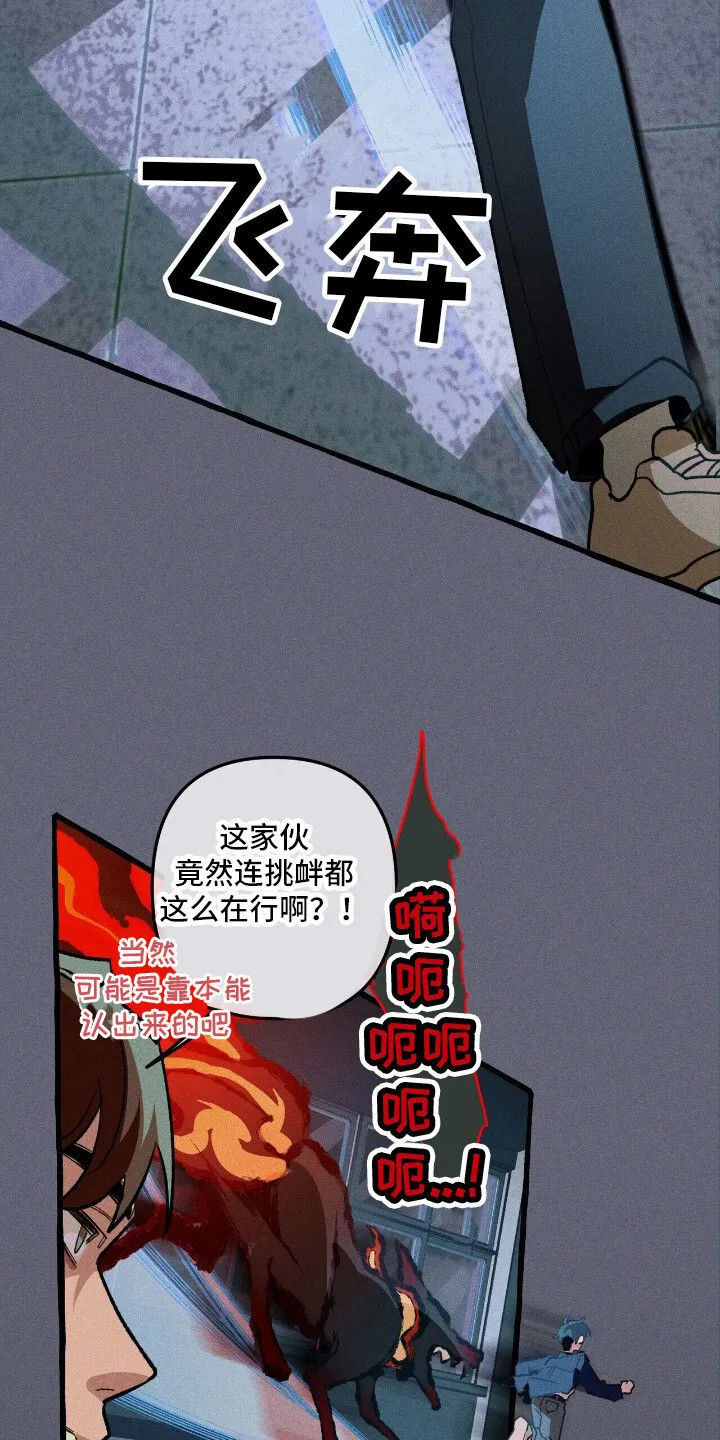 第45章：再次出击 第14页