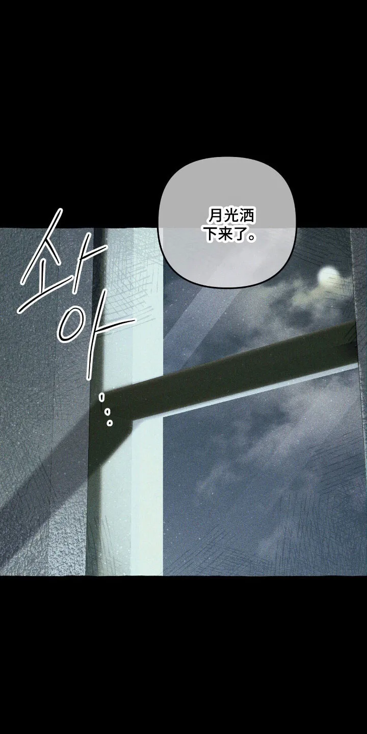 第62章：计划之中 第20页