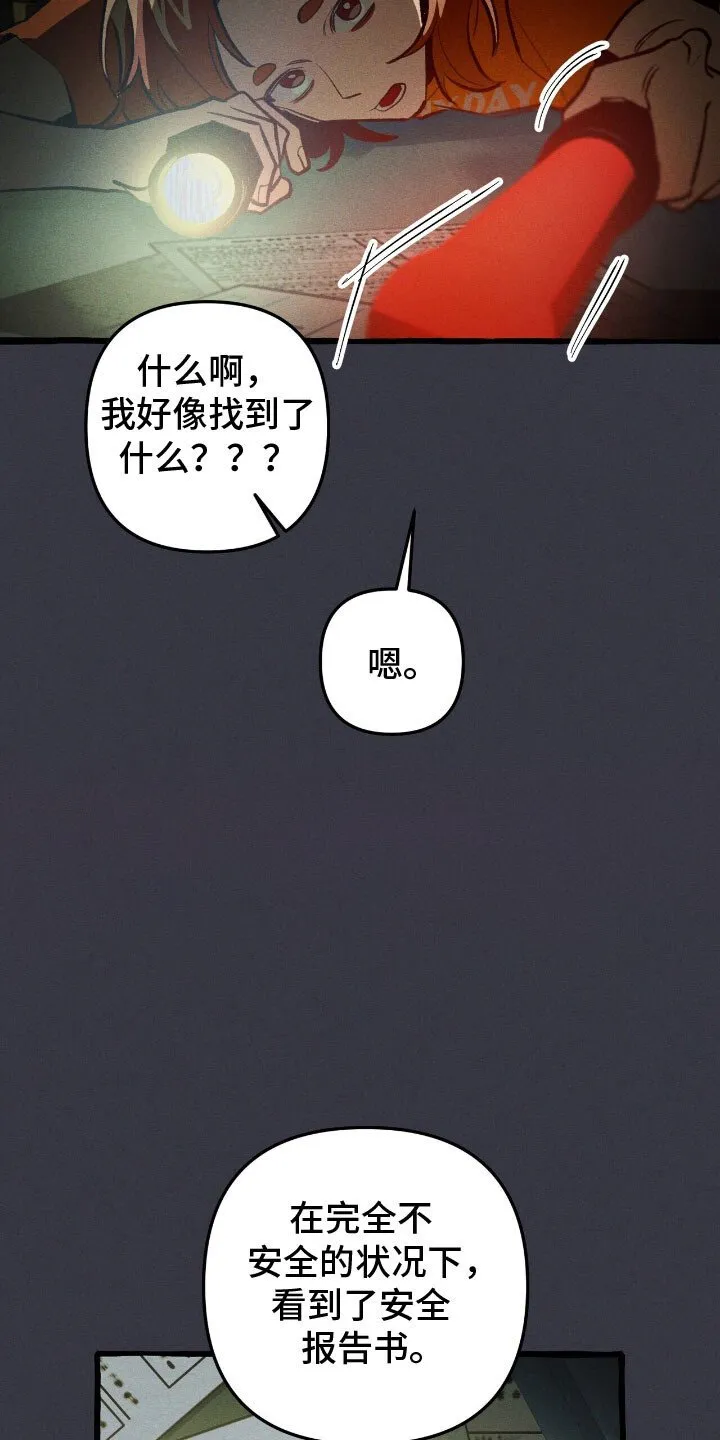 第58章：安全报告 第20页