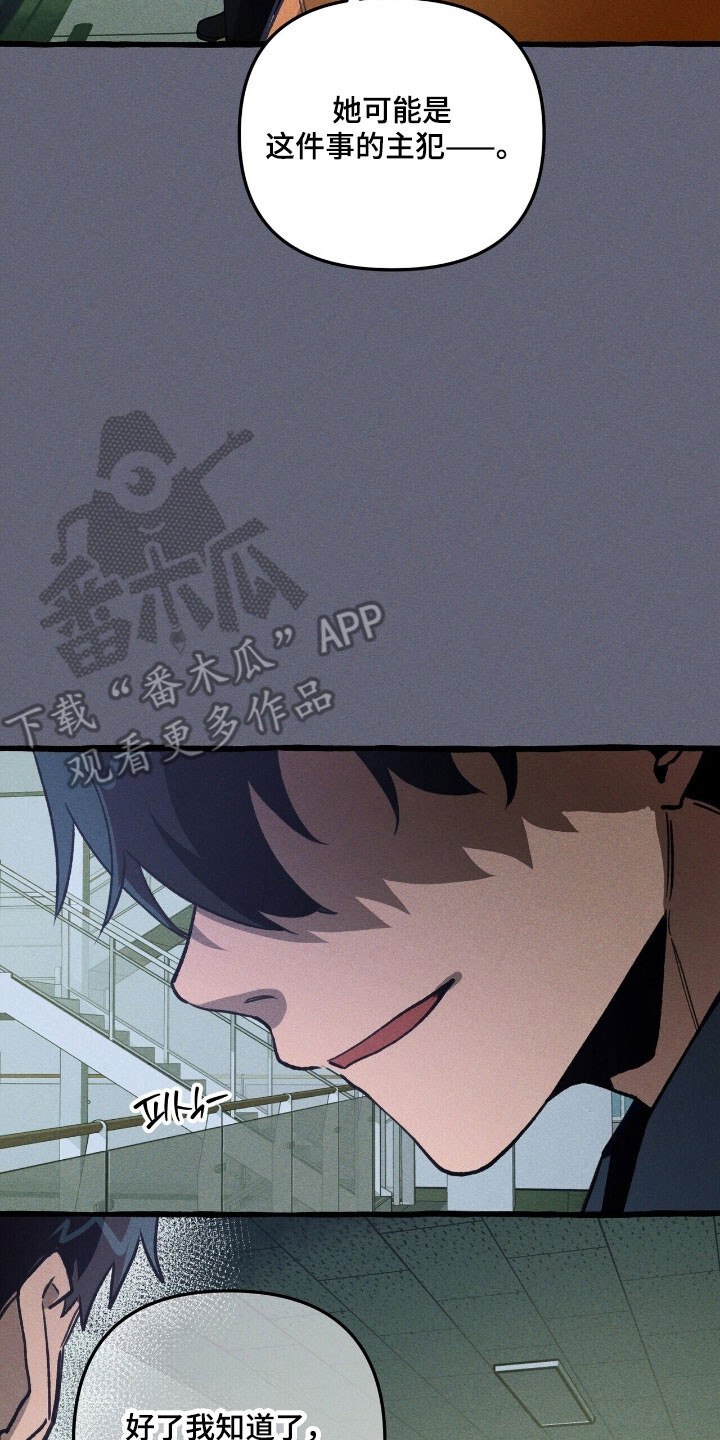 第68章：保护义务 第14页