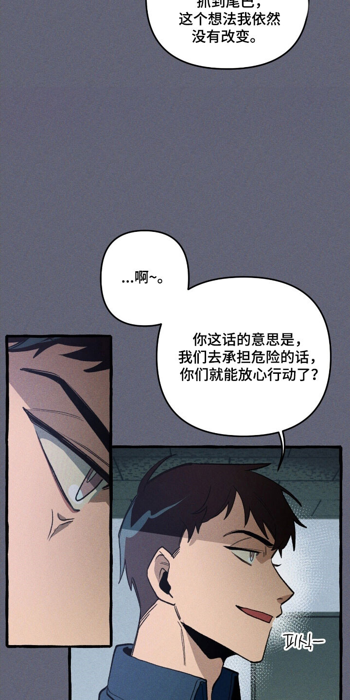 第68章：保护义务 第17页