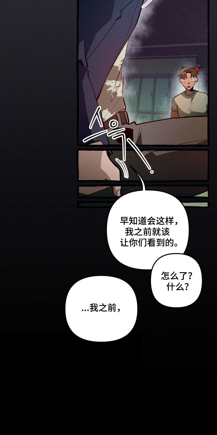 第71章：说出理由 第33页