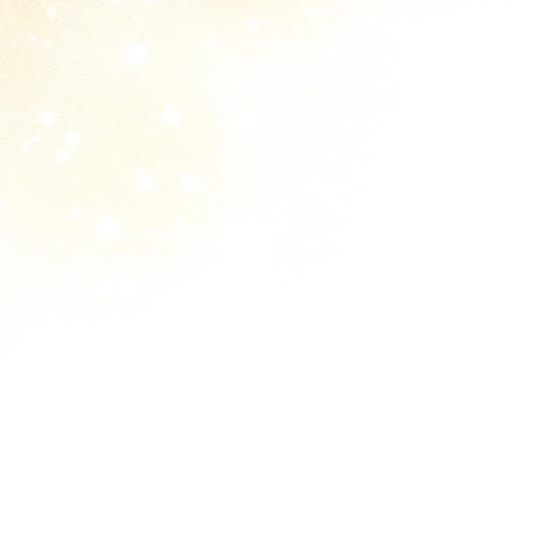 25 生日 第27页
