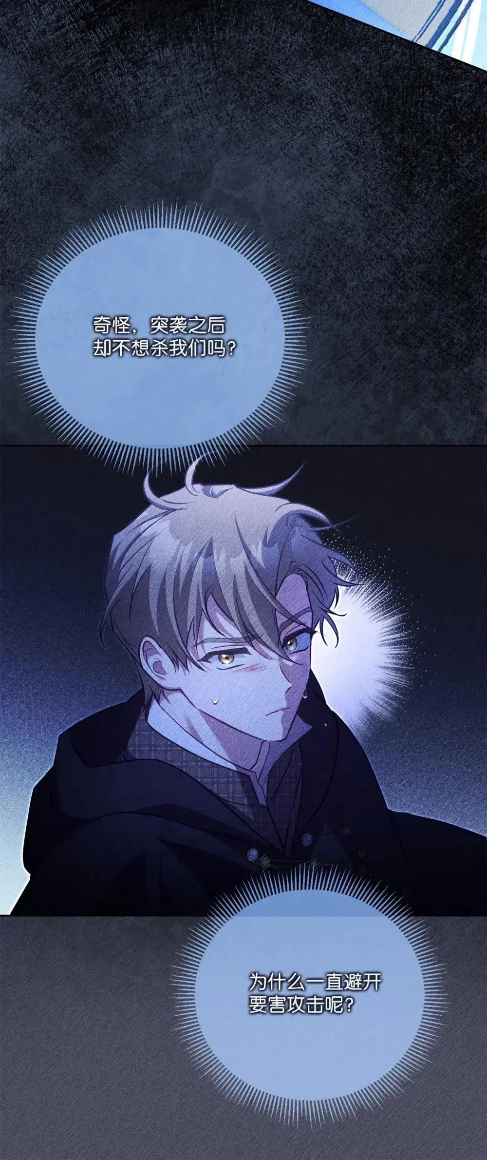 39 遇袭 第13页
