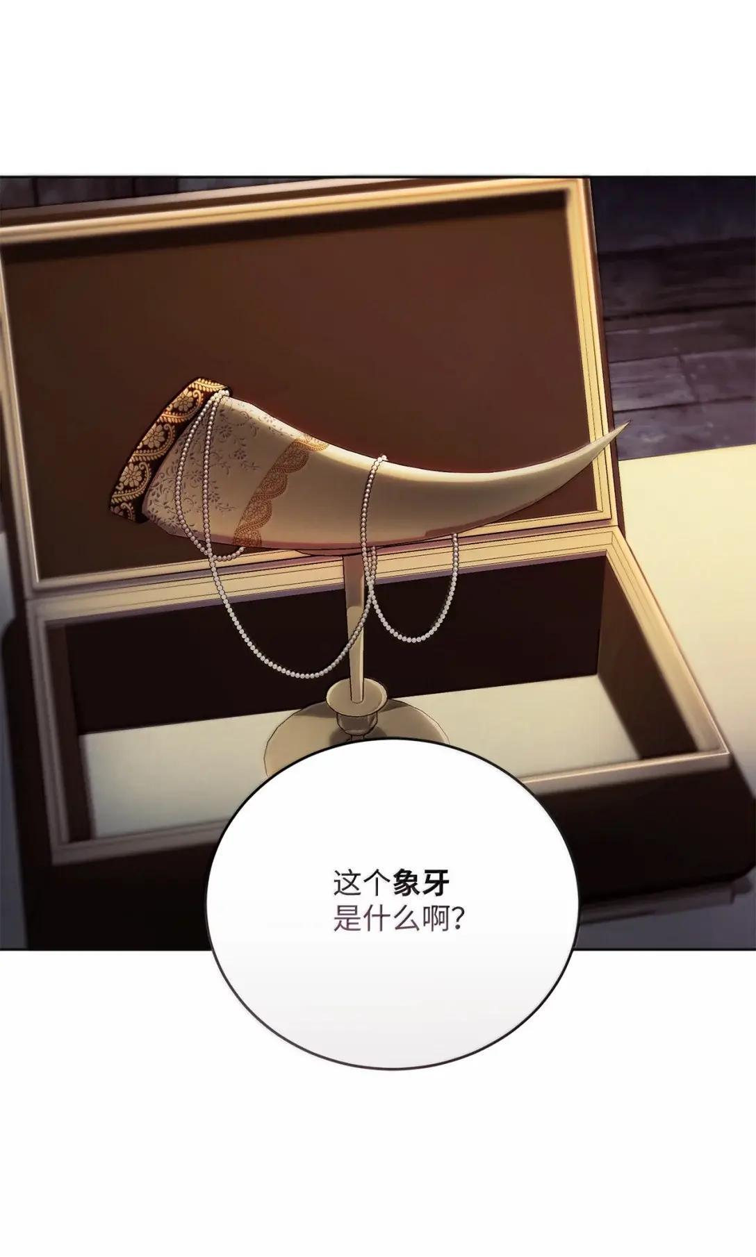 71 象牙 第62页