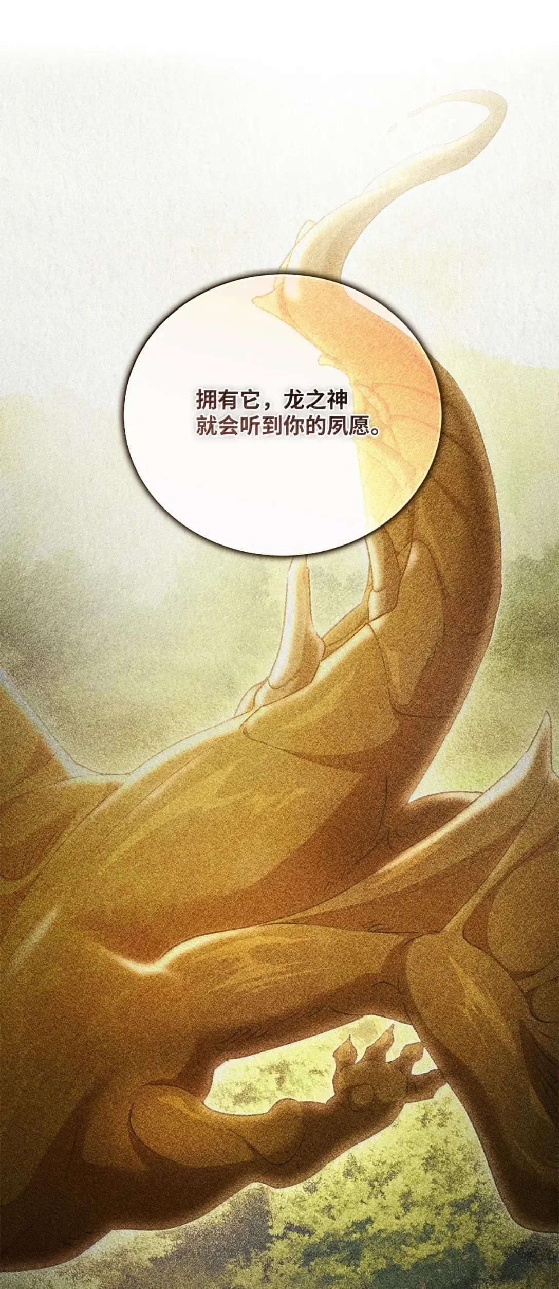 71 象牙 第66页