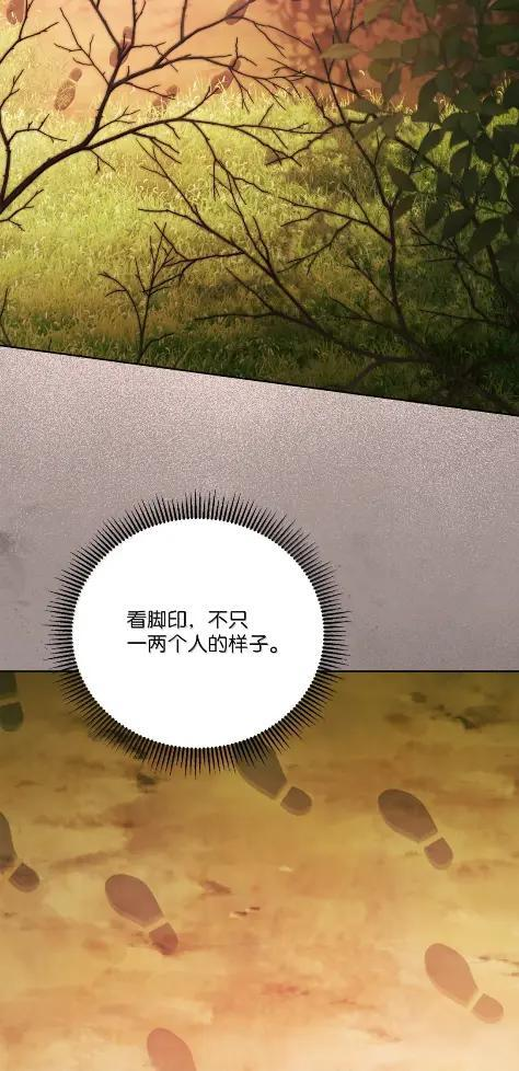 73 中毒 第66页