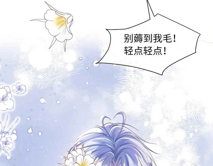第8话 这Alpha是真想嫁给指挥官啊 第14页