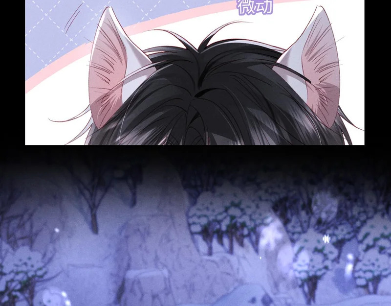 第34话 猫猫太萌啦~ 第12页
