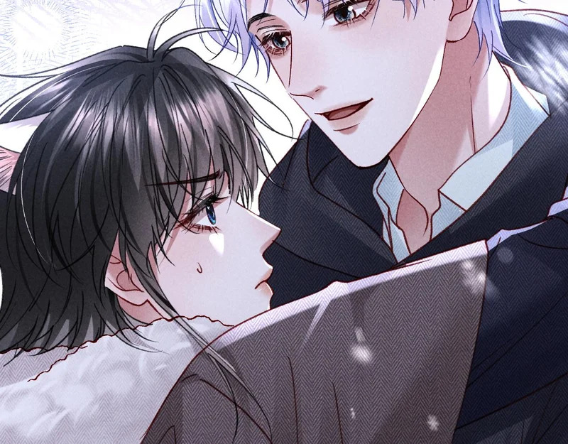 第34话 猫猫太萌啦~ 第42页