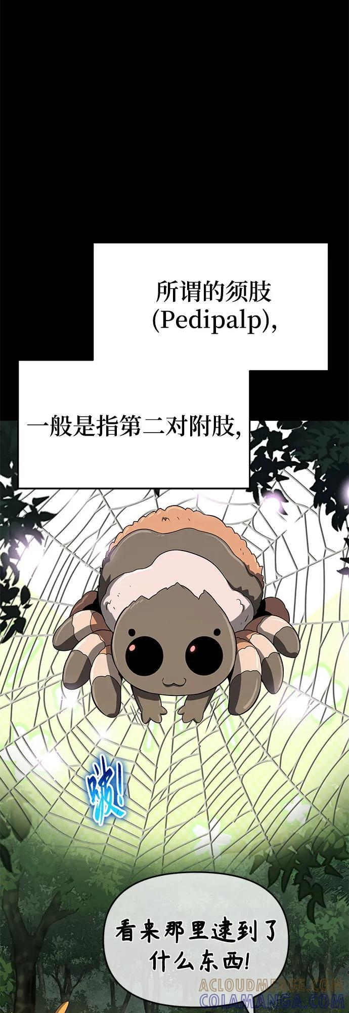 第38话 蜘蛛网(2) 第10页