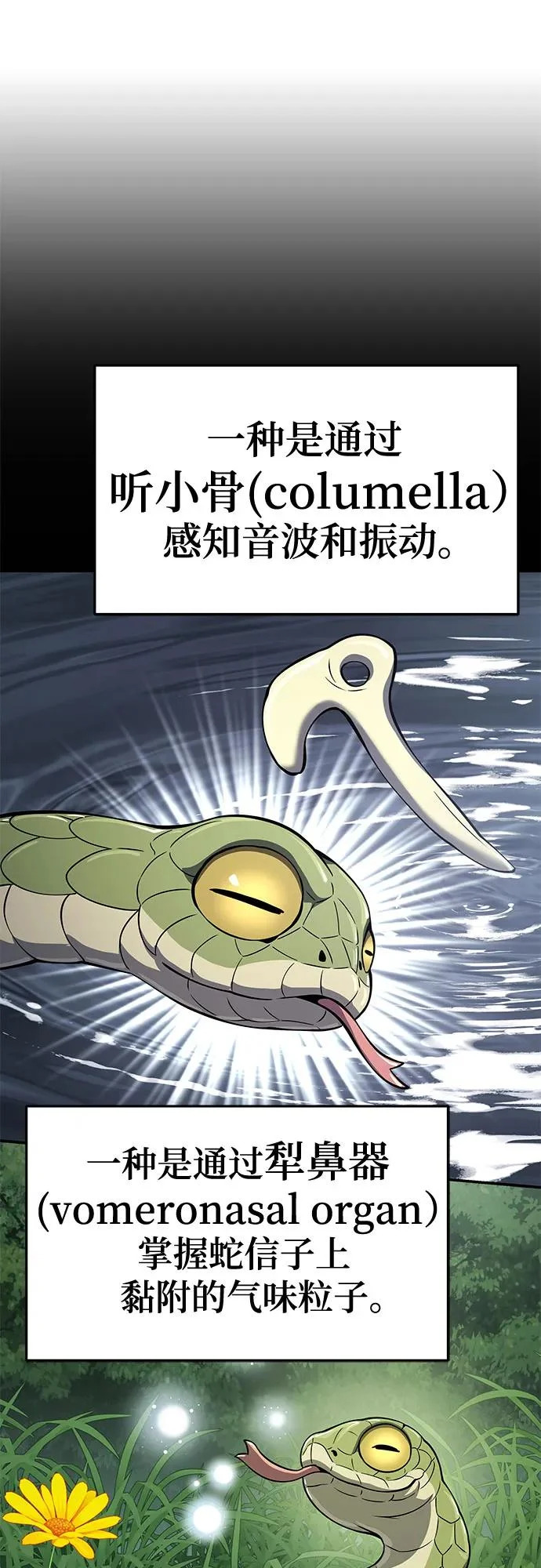 第59话 二十四毒支(4) 第7页