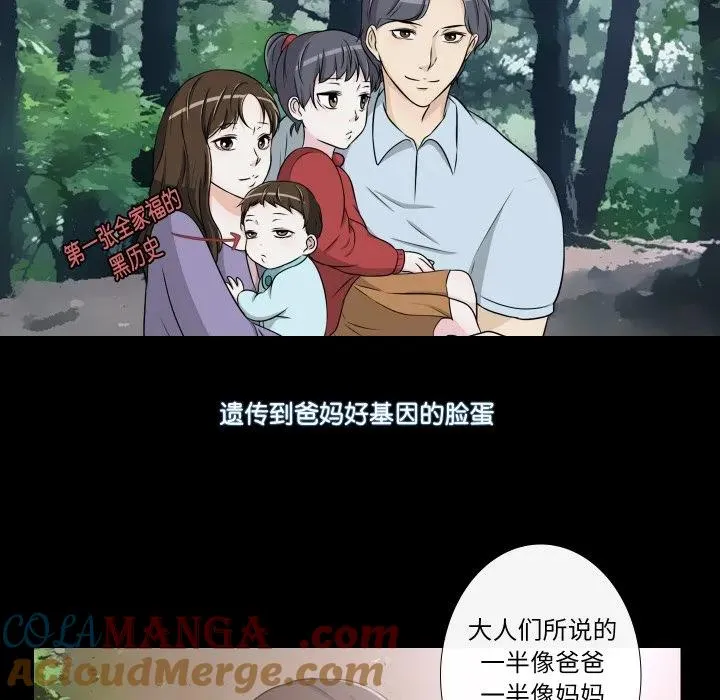 15 第55页