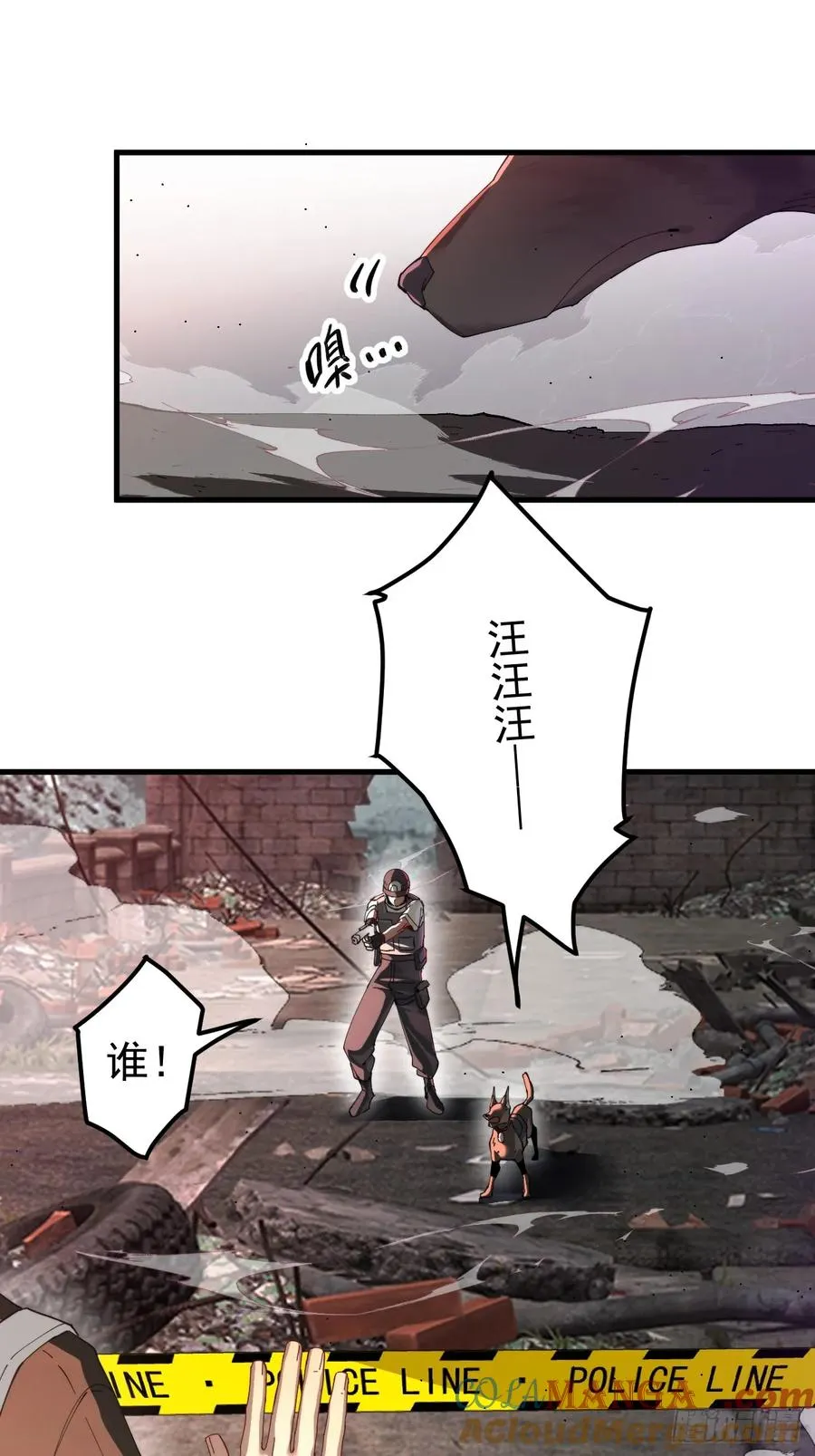 陨石消失之谜 第5页